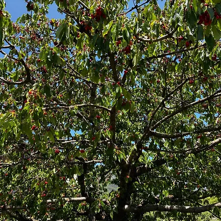 Apartamento Joli Avec Superbe Extérieur Jausiers