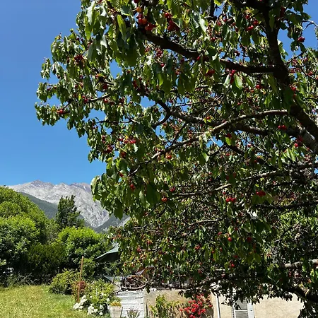 Apartamento Joli Avec Superbe Extérieur